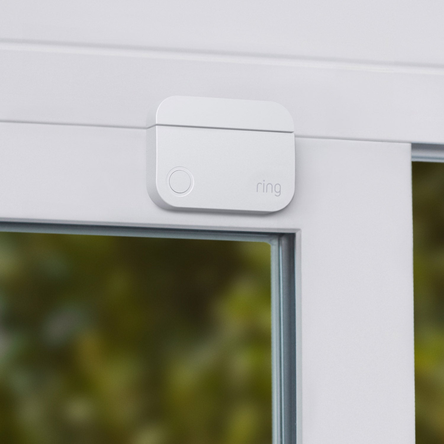 Alarm Pro Security Kit, 14-Piece (with built-in eero Wi-Fi 6 router) - Ring Door/Window Contact Sensor mounted on a window frame, part of the Alarm Pro 14-Piece Kit.