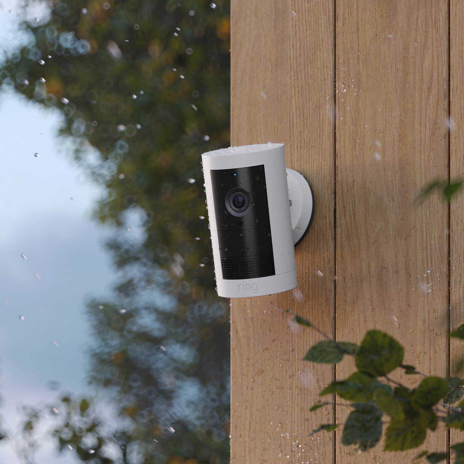 Front and Backyard Basic Kit (Outdoor Cam Plus Battery + Spotlight Cam Plus Battery) - A white Ring Outdoor Cam Plus mounted to a wooden outdoor wall, surrounded by plants.
