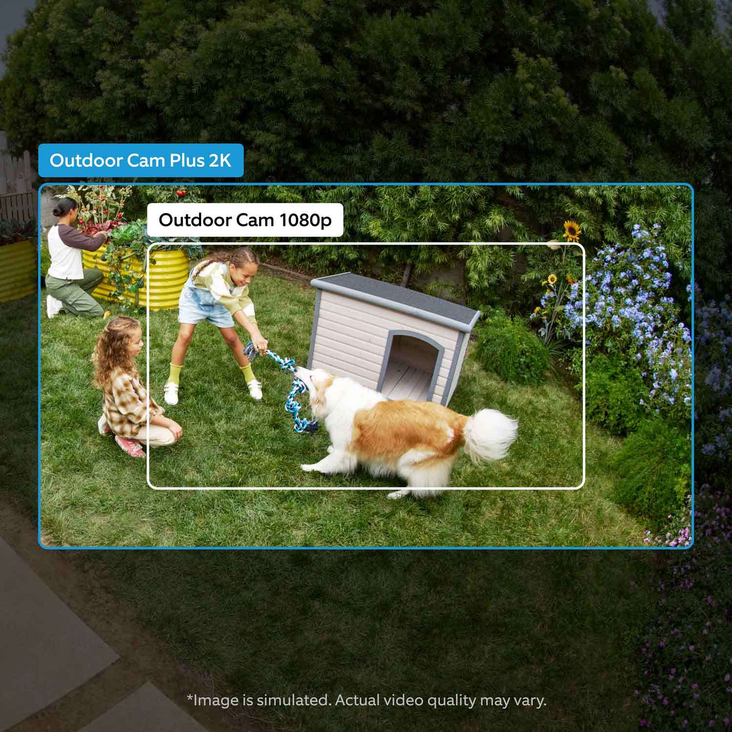 Outdoor Cam Plus (Featuring Retinal 2K)  - Wired:A girl playing tug-of-war with a dog shown in an outdoor cam 1080 p resolution in comparisson to outdoor cam plus 2k, which shows a wider field of view.
